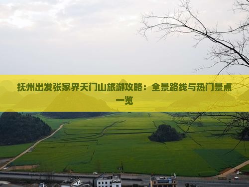 抚州出发张家界天门山旅游攻略：全景路线与热门景点一览