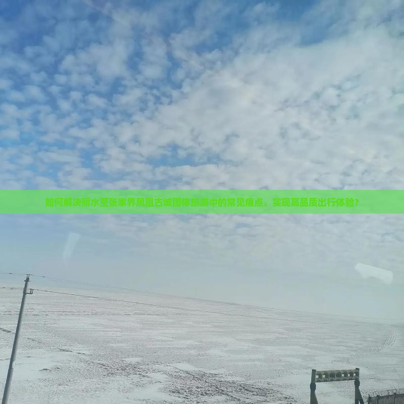 如何解决丽水至张家界凤凰古城团体旅游中的常见痛点，实现高品质出行体验？