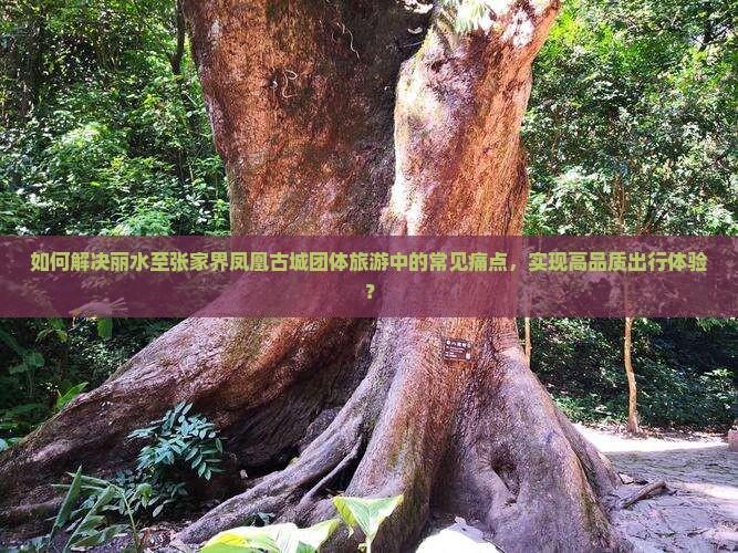 如何解决丽水至张家界凤凰古城团体旅游中的常见痛点，实现高品质出行体验？