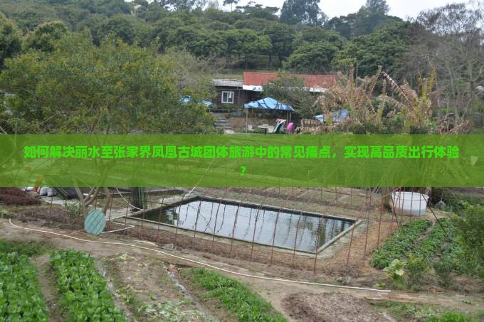如何解决丽水至张家界凤凰古城团体旅游中的常见痛点，实现高品质出行体验？
