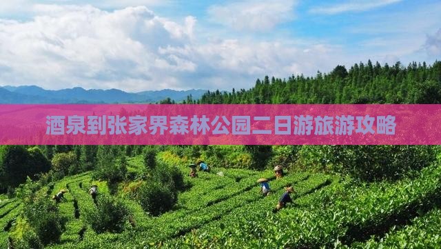 茶泉到张家界森林公园二日游旅游攻略
