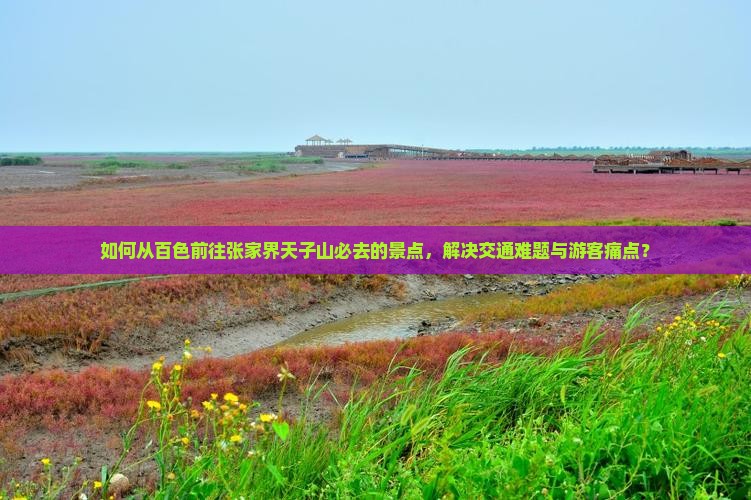 如何从百色前往张家界天子山必去的景点，解决交通难题与游客痛点？