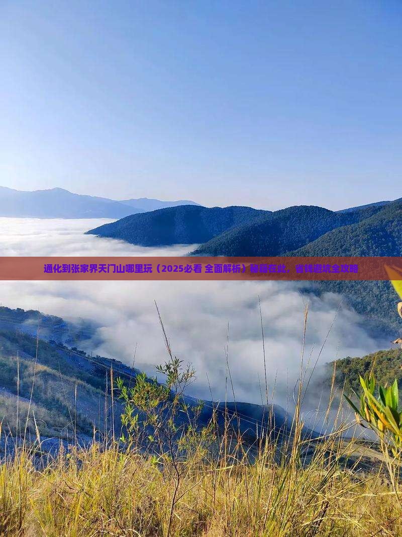 通化到张家界天门山哪里玩