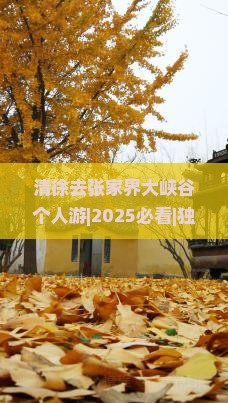 清徐去张家界大峡谷个人游