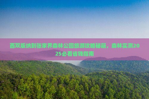 西双版纳到张家界森林公园哪里玩