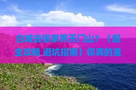 白城到张家界天门山景点
