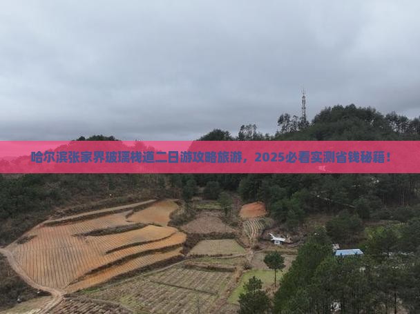 哈尔滨去张家界玻璃栈道二日游