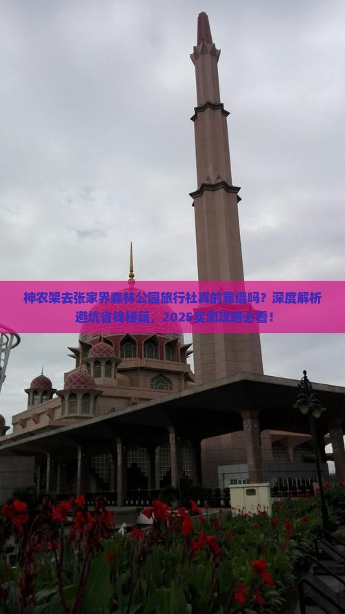 神农架去张家界森林公园旅行社