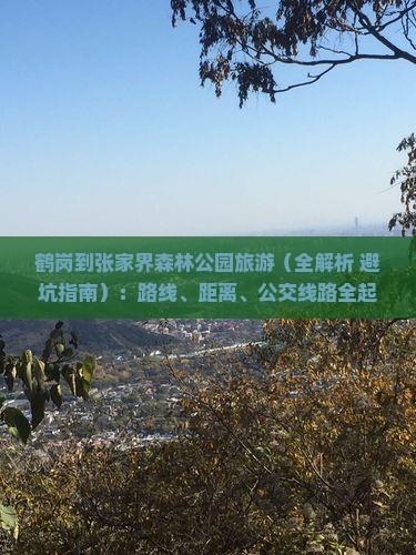 鹤岗到张家界森林公园旅游 鹤岗到张家界森林公园旅游