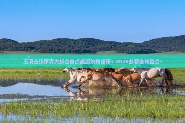 玉溪去张家界大峡谷景点