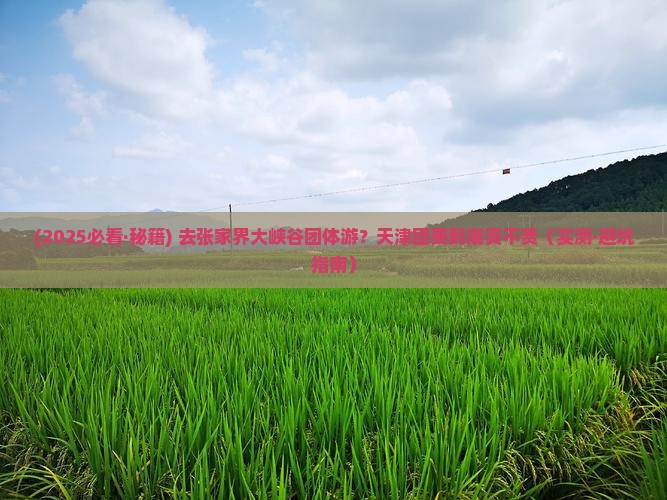 天津去张家界大峡谷团体旅游