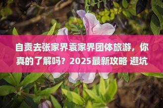 自贡去张家界袁家界团体旅游