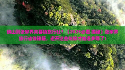 佛山到张家界芙蓉镇旅行社