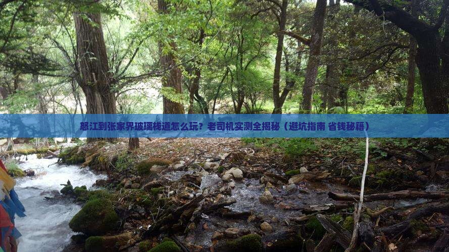 怒江到张家界玻璃栈道个人游