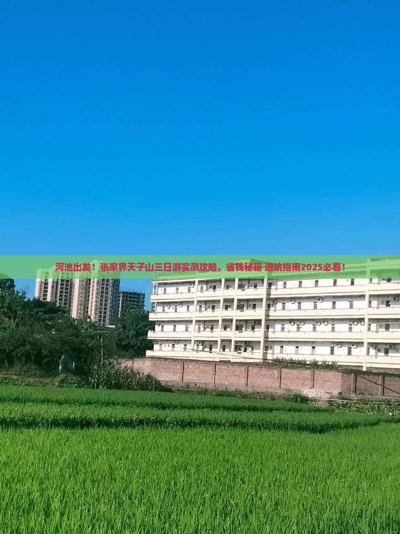 河池去张家界天子山三日游