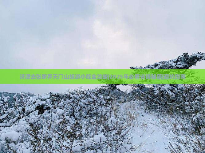 济源去张家界天门山旅游小吃