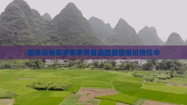 娄底去张家界袁家界自由团