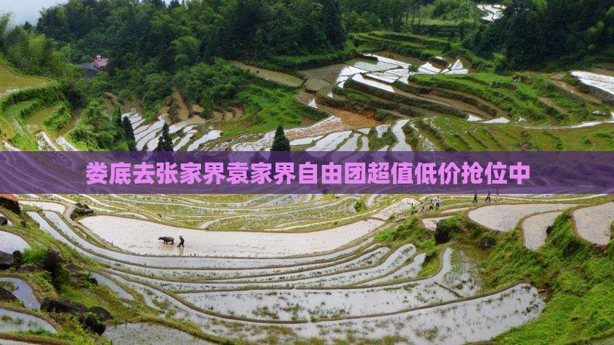 娄底去张家界袁家界自由团