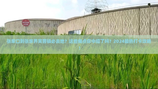 张家口到张家界芙蓉镇必去地