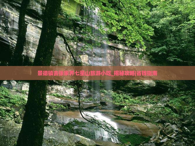 景德镇去张家界七星山旅游小吃