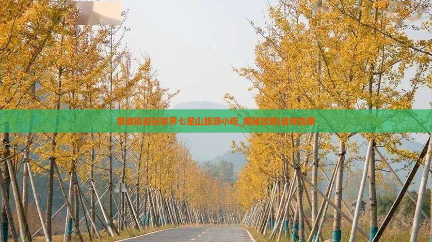 景德镇去张家界七星山旅游小吃