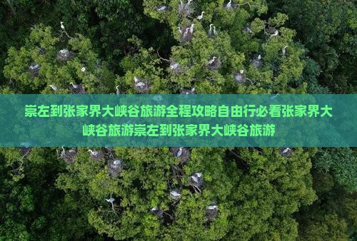 崇左到张家界大峡谷旅游