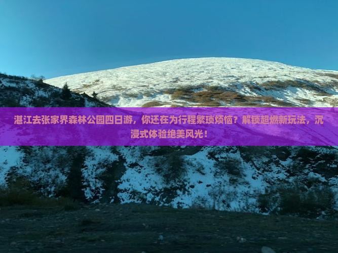 湛江去张家界森林公园四日游