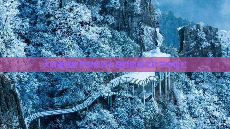 大同去张家界袁家界七日游