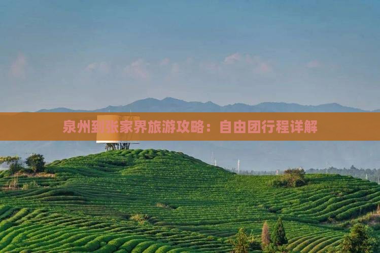 泉州到张家界森林公园自由团