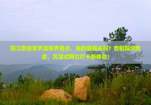 阳江到张家界袁家界景点