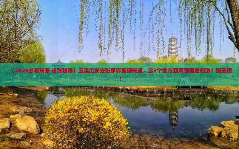 玉溪到张家界玻璃栈道哪里玩