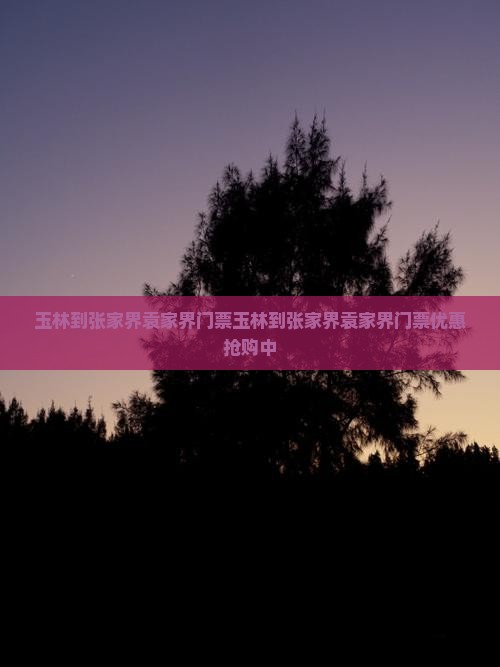 玉林到张家界袁家界门票
