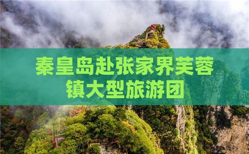 秦皇岛去张家界芙蓉镇大型旅游团