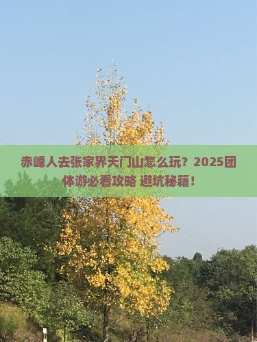 赤峰去张家界天门山团体旅游