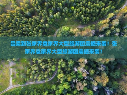 吕梁到张家界袁家界大型旅游团