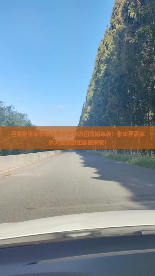 吕梁到张家界袁家界大型旅游团