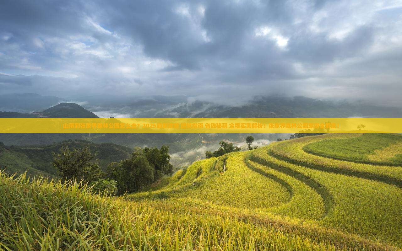 山南到张家界森林公园旅游