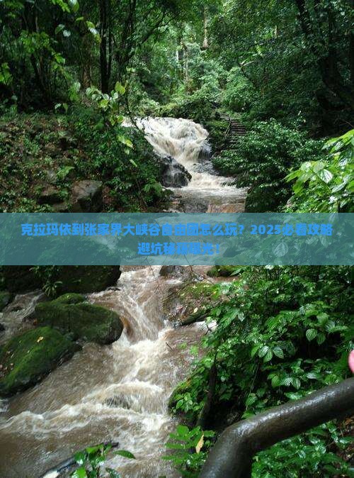 克拉玛依到张家界大峡谷自由团