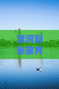 漯河到张家界袁家界旅行社