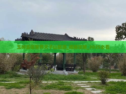 玉树去张家界天子山旅游