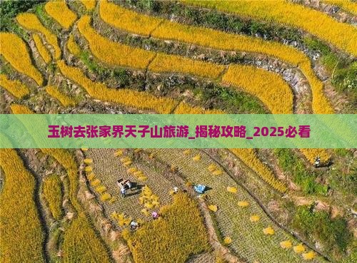 玉树去张家界天子山旅游
