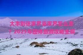 大丰到张家界袁家界团体旅游