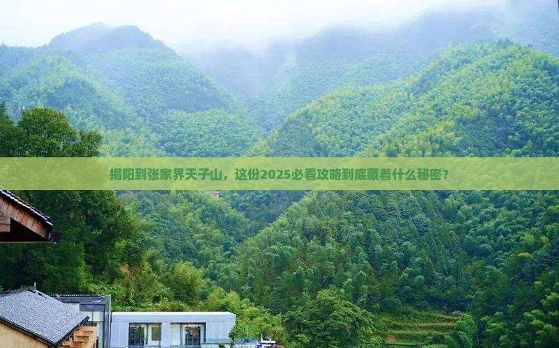 揭阳到张家界天子山大型旅游团