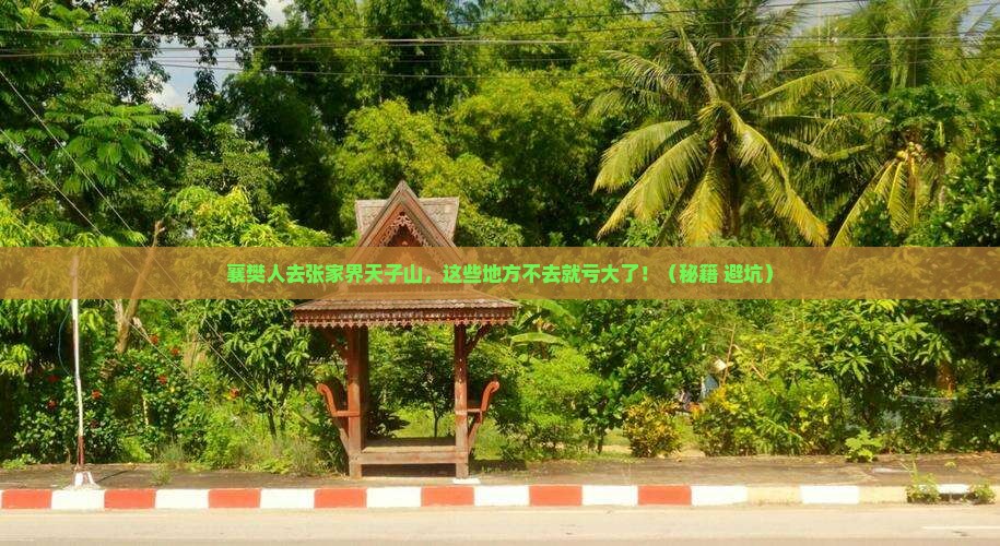 襄樊去张家界天子山必去地