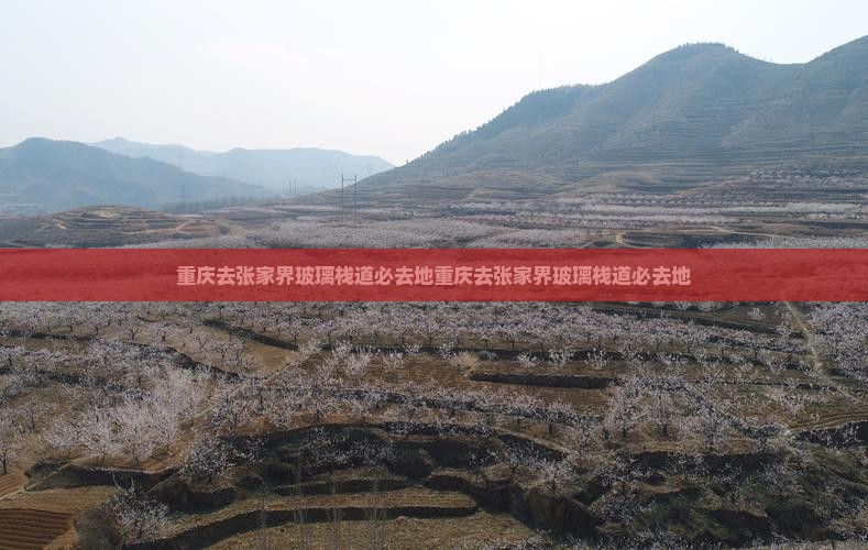 重庆去张家界玻璃栈道必去地