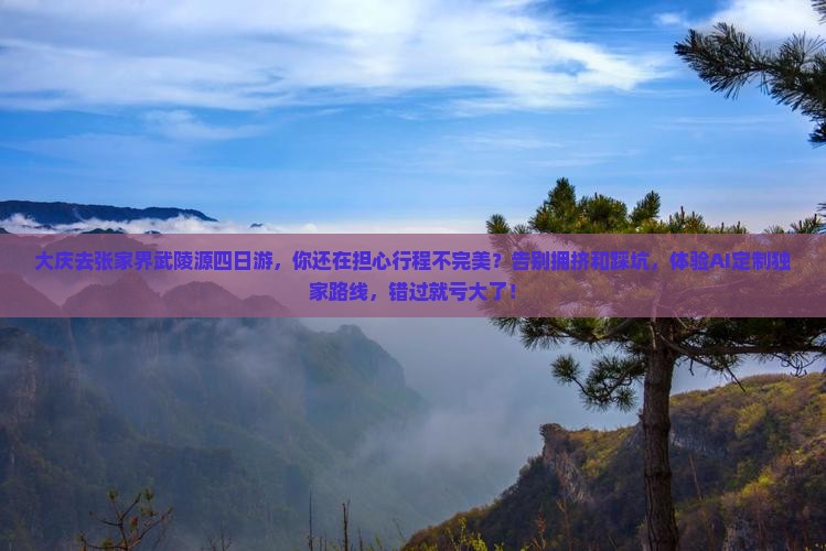 大庆去张家界武陵源四日游