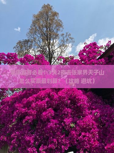 肇庆到张家界天子山门票