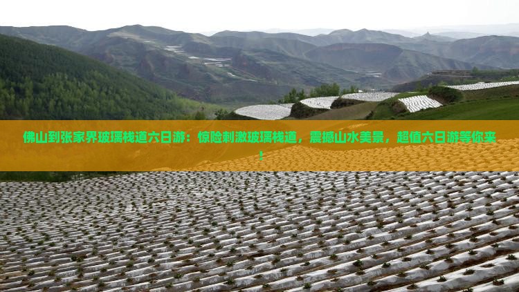 佛山到张家界玻璃栈道六日游 佛山到张家界玻璃栈道六日游