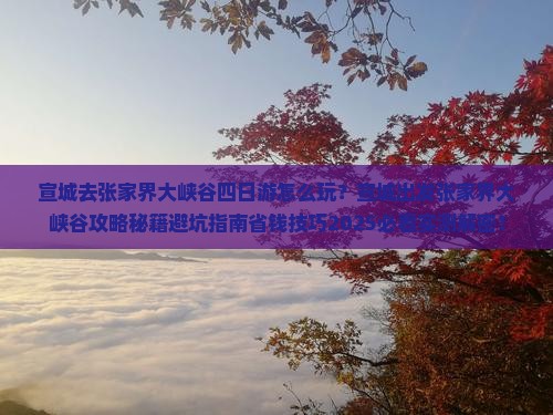 宣城去张家界大峡谷四日游