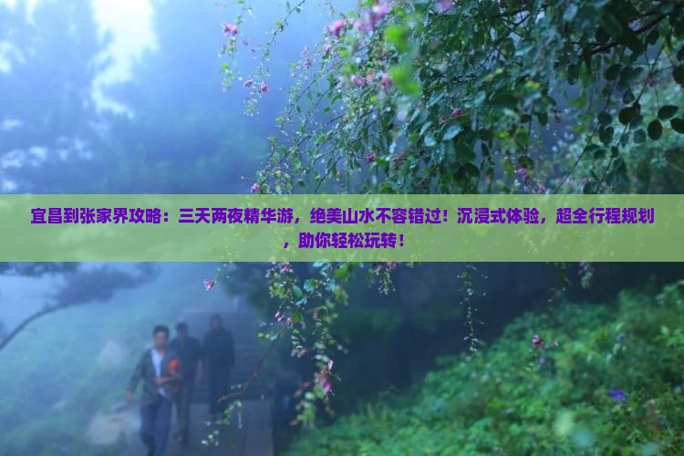 宜昌到张家界攻略